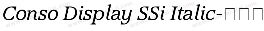 Conso Display SSi Italic字体转换